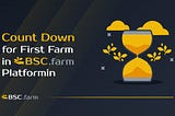 Counting down for first farm in bsc.farm platform