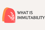 What is immutability?