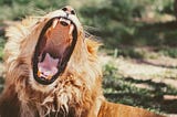 Parental Strength: How Good Is Your Emotional Health?