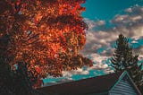 Tree with colorful autumn leaves against a cloudy blue sky