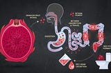 Why can eating dragon fruit cause red-colored urine?