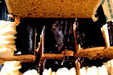 Vanilla Madeira Cake — Cakes