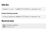 DNS Data exfiltration — What is this and How to use?