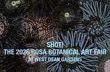 Shot! The 2026 ROSA Botanical Art Fair