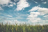 Photo of clouds and grass to contrast SaaS and on-prem software.