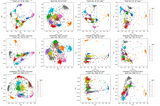 Contrasting contrastive loss functions