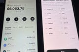 Please I have a question: my Crypto. wallet Okx holds 5500 USDT, and I have the 12 seed phrase: