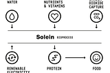 Forget gold. Solein’s modern day alchemy turns CO2 into protein.