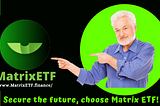 The benefits of Joining MatrixETF (Diversifying your Investment)