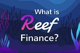 Reef Finance — Quick Take