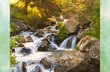 Sunlight shines through the treetops that stand over the stream, which rushes over several large rocks and boulders.