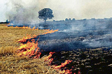 Crop Burning