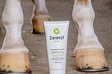 chestnut horse with socks and white hooves stands over a tube of Zarasyl, used to manage equine skin conditions