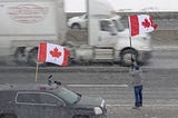 Fake News Hurts Canadian Truckers and Kills Trust in News