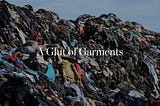 A Glut of Garments