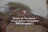 Kenya vs Tanzania — which offers the better African safari?