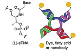 Enhanced DNA Nanostructures Improve Cancer Nanomedicine Treatment