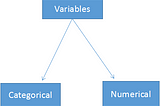 Variables For Data Science