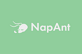 NapAnt Story: Visualize the Productivity of your Engineering Team