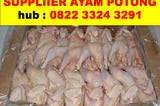 0822 3324 3291, Peternakan Ayam Potong Di Yogyakarta