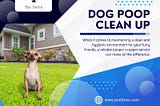 Dog Poop Clean Up