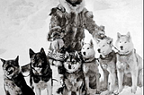 Classic photo of the dogsledding team that includes Balto and Togo.