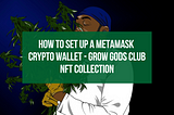 How to Set up a Metamask Crypto Wallet