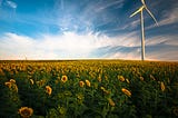 Going green with your dollars