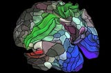 Why Mental Fitness Will Be as Big as Physical Fitness in 10 Years