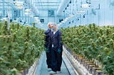 The world’s top medical cannabis brands [Leaders in research and clinical application]