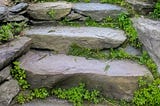 A worn stone stairway, almost overgrown with greenery.