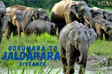 Gorumara to Jaldapara Distance: Exploring the Enchanting Route