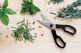 How Kitchen Shears Changed My Life…