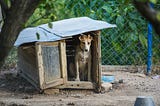 A photo of a doghouse