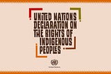 Open Letter: Continue work on the United Nations Declaration on the Rights of Indigenous Peoples