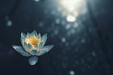 Meditation and Self Realization