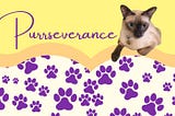 Purrseverance Submission Guidelines