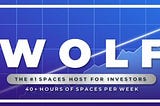 MetaversusWorld AMA Recap — WOLF Financial