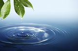 Efficient Hydration for Effective Mindfulness