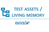 Functional test assets as the living memory of the IS