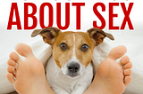 How to talk to your dog about sex