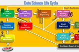 The Data Science Life-Cycle