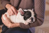 The Dog’s Devotion..Poem..