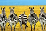 To be different or to be better?!