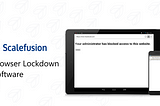 What is Browser Lockdown Software?