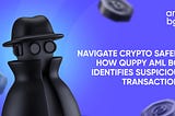 Understanding Suspicious Sources in Crypto Transactions: A Closer Look with Quppy AML Bot