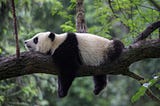 Python Pandas Operation Collection