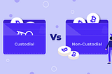 Exploring the Dynamics of Custodial and Non-Custodial Crypto Wallets