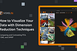 How to Visualize Your Data with Dimension Reduction Techniques