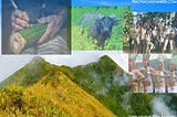 “ MAHALTA: The significance of the Mangyan, Halcon and Tamaraw preservation efforts in keeping the…